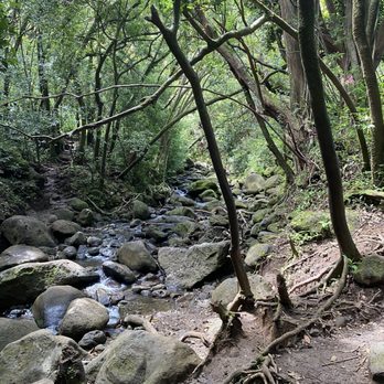 Lulumahu Falls - Crossing through the stream - hopping on the rocks - Hiking Near Me - Honolulu, Hawaii Lulumahu Falls - Crossing through the stream - hopping on the rocks - Hiking Near Me - Honolulu, Hawaii