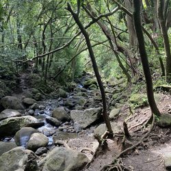 Lulumahu Falls - Crossing through the stream - hopping on the rocks