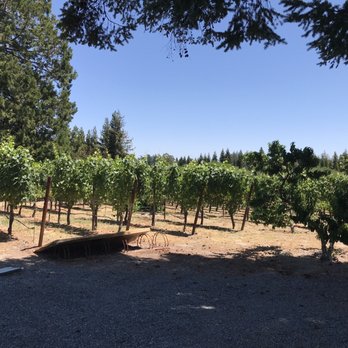 Furthermore Wines - Wine Tasting Room Near Me - Sebastopol, California