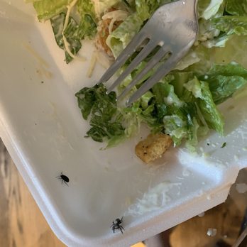 Texas Roadhouse - More spiders - Steakhouses Near Me - Omaha, Nebraska Texas Roadhouse - More spiders - Steakhouses Near Me - Omaha, Nebraska