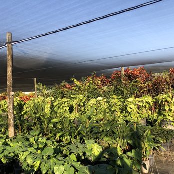 Santa Barbara Nursery - Nurseries & Gardening Near Me - Miami, Florida