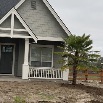 Blue Skye Landscaping - a palm tree in front of a house - Landscaping Near Me