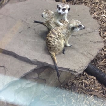 Edmonton Valley Zoo - Zoos Near Me - Edmonton, Alberta