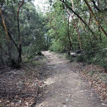 Sanborn County Park - Parks Near Me - Saratoga, California Sanborn County Park - Parks Near Me - Saratoga, California