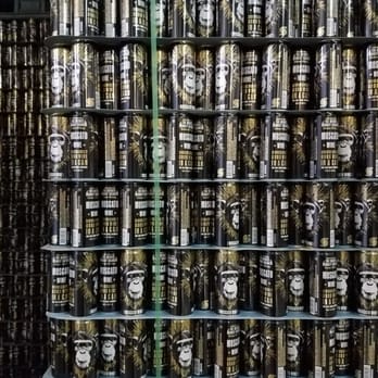 The Infinite Monkey Theorem - Ready to go out at IMT - Wineries Near Me - Denver, Colorado