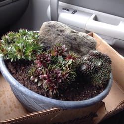 Marshall's Garden & Pet - Beautiful ! They let you pick out what you want and they put it all together !!