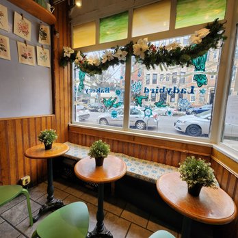 Ladybird Bakery - a view of the street through the window - Bakeries Near Me - Brooklyn, New York