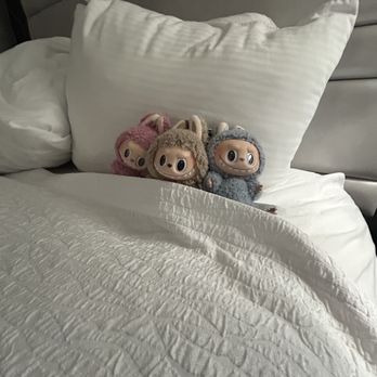 Abbey Inn & Suites - Prefect stay for everyone, families and La boubous! - Hotels Near Me - Cedar City, Utah