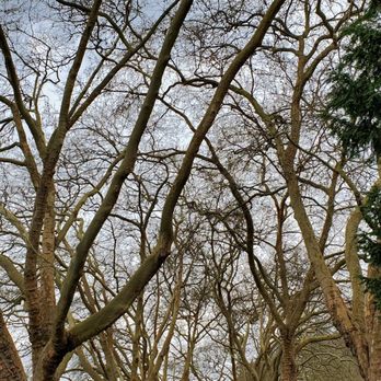 Stanley Park - Parks Near Me - Vancouver, British Columbia