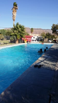 Shoshone Trailer RV Park by null