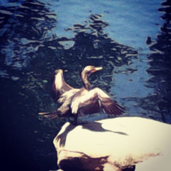Heritage Park - Parks Near Me - Cerritos, California Heritage Park - Parks Near Me - Cerritos, California