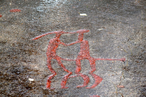 Vitlycke Museum by null