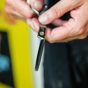 Master Sharpener - Knife Sharpening Near Me Master Sharpener - Knife Sharpening Near Me