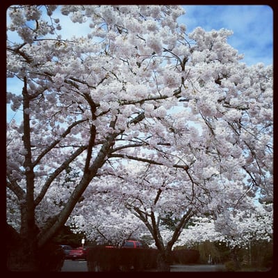 Mt. Hood Community College by null