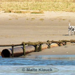 Teufelsbrück - Elbstrand - Hamburg Elbe Teufelsbrück Elbstrand Malte Klauck