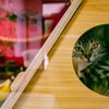Tally Cat Cafe gift card