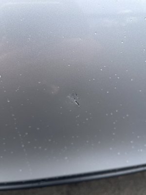 BILL’S CAR WASH - Updated April 2025 - 23 Photos - 5881 FL 507, Palm