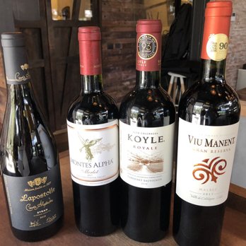 Vinolia - Great Chilean wines that were part of our tasting experience - Wine Tasting Room Near Me - Santiago, RM