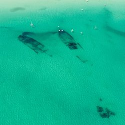 Roanoke Island Outfitters and Dive Center - Summer Time and the diving is amazing.