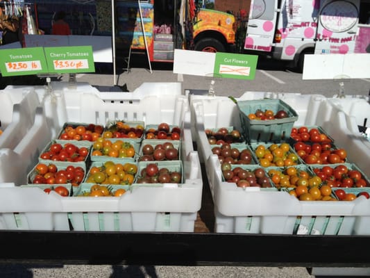 Govans Farmers' Market by null
