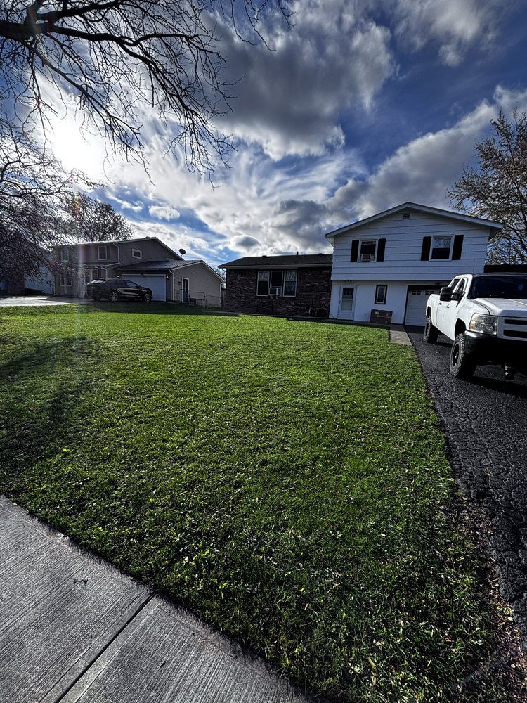 Sinopoli Services - tree service in Rochester, NY