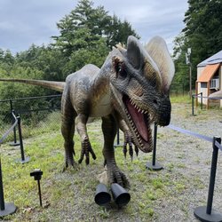 Lake George Expedition Park