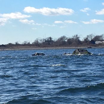 Save the Bay - Boat Tours Near Me - Newport, Rhode Island
