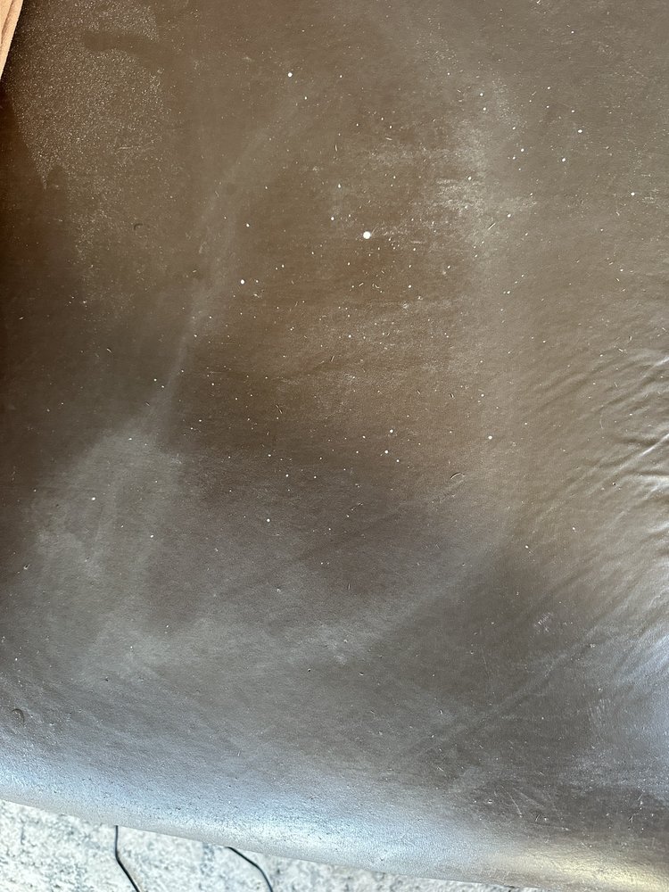 MY CARPET CLEANER Updated October 2024 Richardson, Texas Carpet