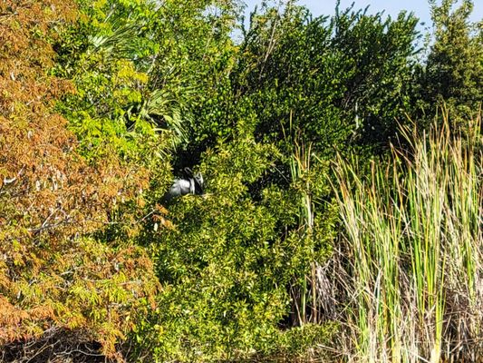 Ernest F. Coe Visitor Center by null