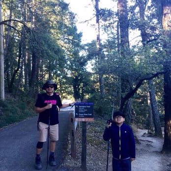 Steep Ravine Trail - About to tackle this trail - Hiking Near Me