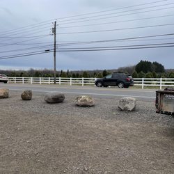 Wilbert's Tree Farm - Trees across road