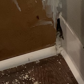 Traditions Town Homes - Hole in wall due to mice - Apartments Near Me - Franklin, Indiana
