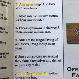 A wonderful bit of awesomeness set out in the pamphlets on Zelia's tables.