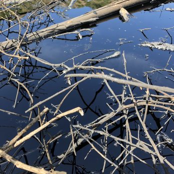 Chumash Park - Tar Pits down in Chivos Canyon. - Parks Near Me - Simi Valley, California Chumash Park - Tar Pits down in Chivos Canyon. - Parks Near Me - Simi Valley, California