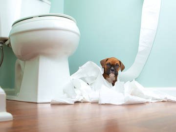 Tailored Smart Home Logo