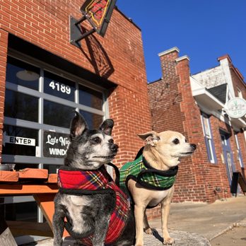Pie Guy Pizza - Seating outside for you and your two best friends - Pizza Near Me - St. Louis, Missouri Pie Guy Pizza - Seating outside for you and your two best friends - Pizza Near Me - St. Louis, Missouri