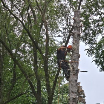 Fahlen Forestry - Nick at work - Tree Services Near Me