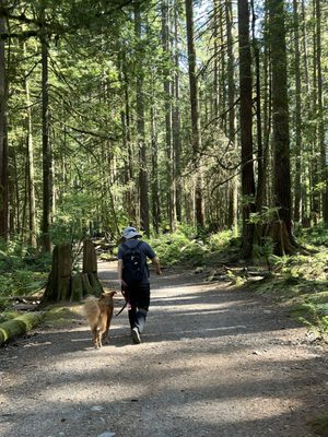 Pacific Spirit Regional Park by null
