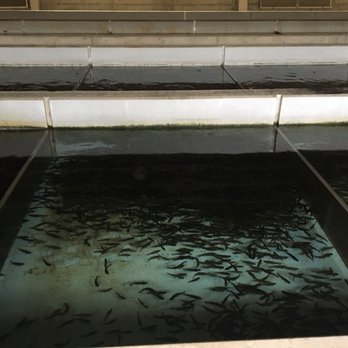 Oden State Fish Hatchery - Parks Near Me - Alanson, Michigan