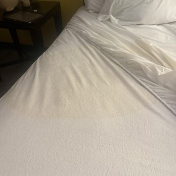 Peppertree Inn - Urine on the bed that was wet to the touch - Hotels Near Me - Beaverton, Oregon Peppertree Inn - Urine on the bed that was wet to the touch - Hotels Near Me - Beaverton, Oregon