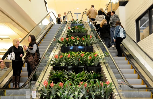 King of Prussia by null