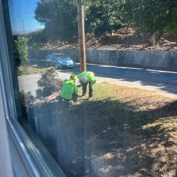 JMV Tree Service - Tree Services Near Me - Hayward, California