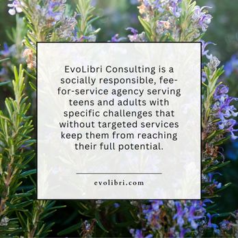 EvoLibri Consulting - Counseling & Mental Health Near Me - Santa Clara, California EvoLibri Consulting - Counseling & Mental Health Near Me - Santa Clara, California