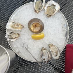 Flying Fish Oyster Bar - 1/2 dozen Oysters