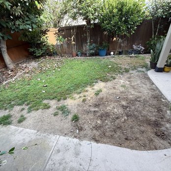 Big Bully Turf - Artificial Turf Near Me - San Diego, California Big Bully Turf - Artificial Turf Near Me - San Diego, California