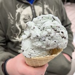 Baskin-Robbins 31 Flavors Ice Cream