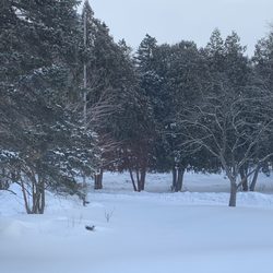 Channeling The Divine with Pauline - Location view
