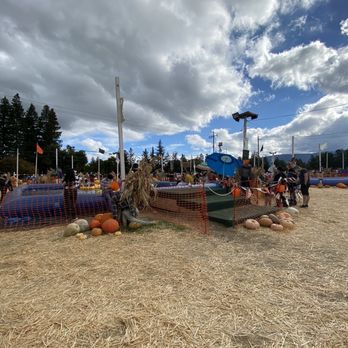 Queens Pumpkin Patch - Pumpkin Patches Near Me - Saratoga, California Queens Pumpkin Patch - Pumpkin Patches Near Me - Saratoga, California