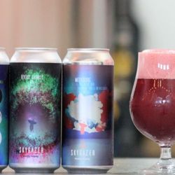 Skygazer Brewing - Freshly canned, craft beer to go!