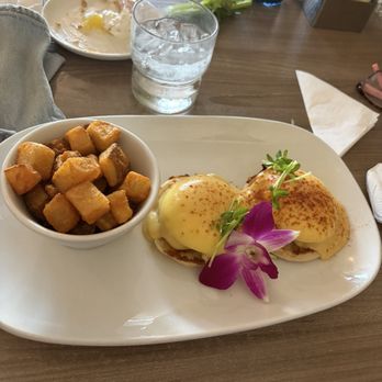Brunch - Kitchen & Cocktails - Classic eggs Benedict - Breakfast & Brunch Near Me - Cave Creek, Arizona